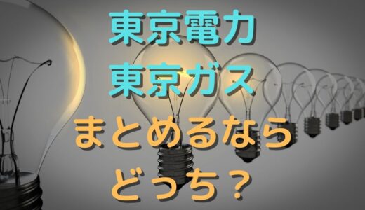 【東京電力と東京ガス】まとめるならどっちが得で安い？比較結果は意外だった